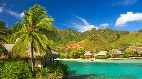 Tropical Cottage Escape - 4K Ultra HD Wallpaper