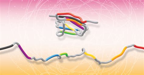 Studying the patterns of protein folding