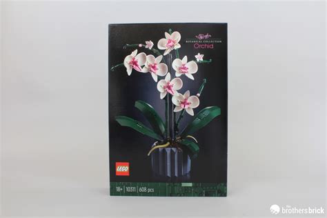 LEGO Botanical Collection 10311 Orchid - TBB Review - BB9119 - (1 ...