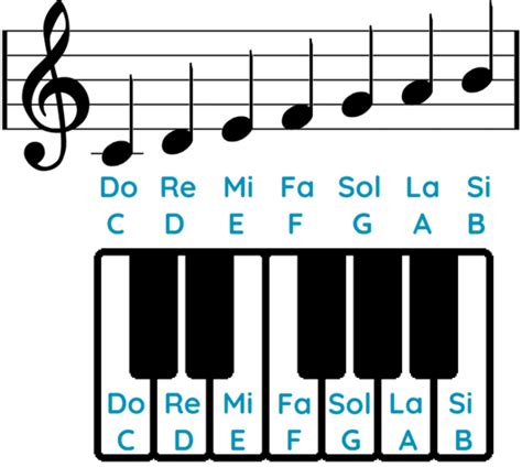 Pack para poner Tulipanes Ciencias teclas del piano con notas ...