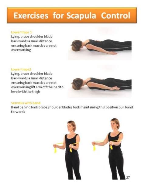 Exercises for scapular control #PsoasPain | Scapula exercises, Shoulder ...