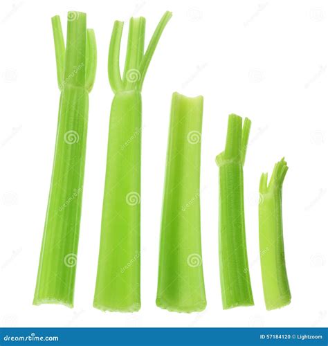 Stalks of Celery stock photo. Image of diet, stems, snack - 57184120