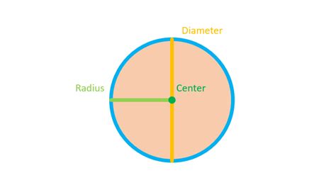 Area and Perimeter of a Circle | Definition, Examples, Rules, Formula