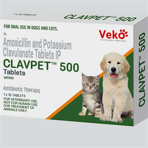 Vetalexin 600mg Antibiotic For Dogs Cats( Tabs) | ubicaciondepersonas ...