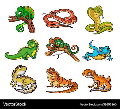 Set with beautiful different cartoon reptiles Vector Image