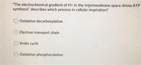 "The electrochemical gradient of H+ in the intermemb... - Biology