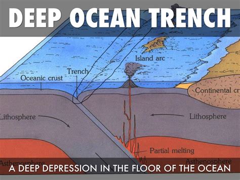 Deep Sea Trench Definition : Trench Definition Earth Science - The ...