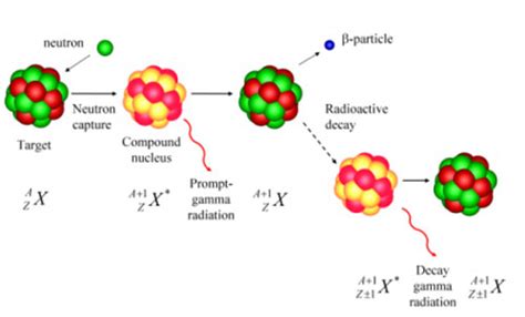 Neutron Activation Autoradiography - ColourLex