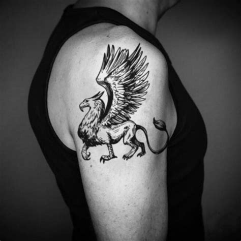 Griffin Gryphon Temporary Tattoo Sticker - OhMyTat