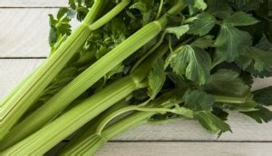 Benefits of Celery, Nutrition Facts, Recipes and More – General Health ...