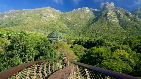 Kirstenbosch National Botanical Gardens Pictures: View Photos & Images ...