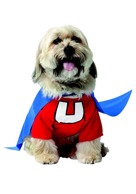 Underdog Dog Costume