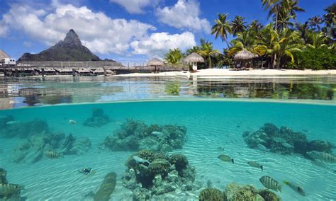 InterContinental Bora Bora Resort and Thalasso Spa | Tahiti.com