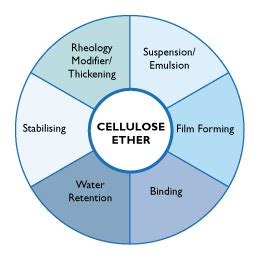 Physical & Chemical Properties and Uses of Cellulose Ethers