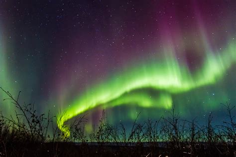 See Alaska's captivating Northern Lights on this Fairbanks tour - LA Times