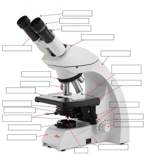 Leica Upright Compound Light Microscope Diagram Diagram | Quizlet