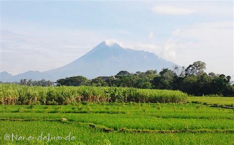 Wisata Nananda: PEMANDANGAN GUNUNG MERAPI