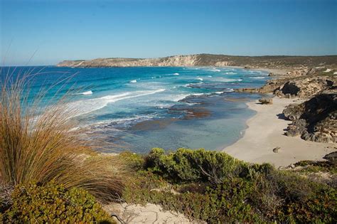 Kangaroo Island Wildlife and Conservation, South Australia - Australian ...