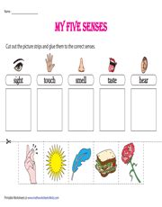 25+ Fresh Sense Organs Worksheets For Kids