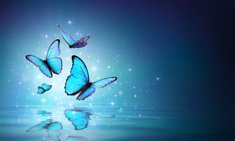 Blue Butterfly Meaning: What Do Blue Butterflies Symbolize? | Color ...