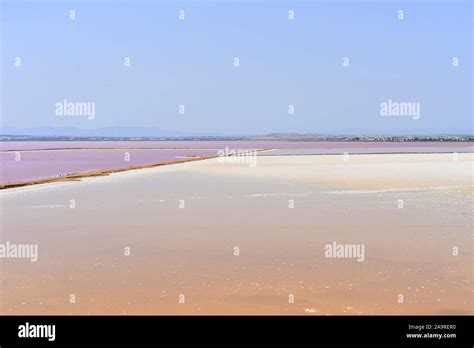 Pink salt lakes at the Torrevieja salt works, Torrevieja, Alicante ...