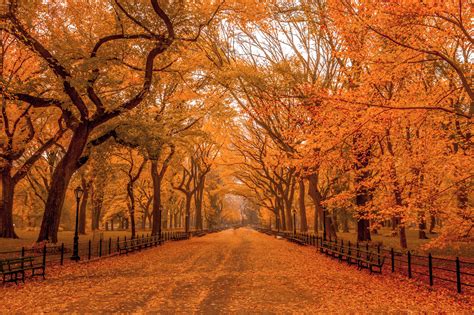 Best fall foliage in New York from Central Park to the Catskills