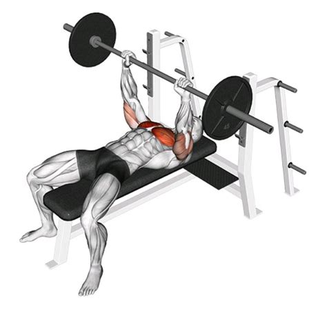 Barbell Standard Bench Press by John M. - Exercise How-to - Skimble