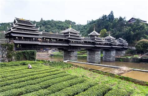 Chengyang Wind and Rain Bridge (Chengyang, China) | China travel ...