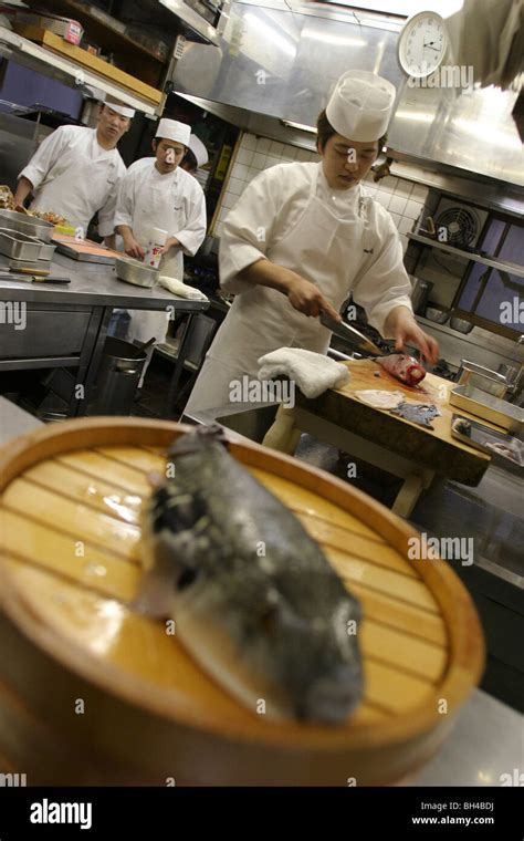 The preparation of 'fugu' (blowfish) fish, in the 'Wa No Fu Club', a ...