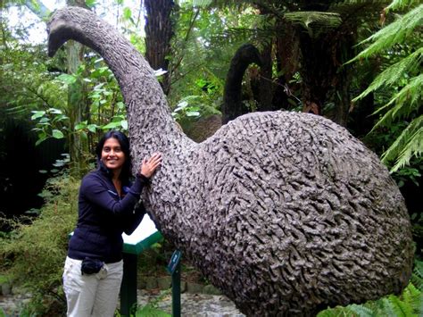 New Zealand's Haast's eagle, a giant bird of prey, becomes extinct in ...