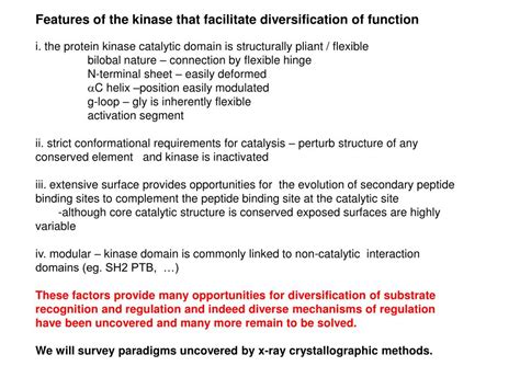 PPT - Protein Kinase Structure and Function Introduction PowerPoint ...