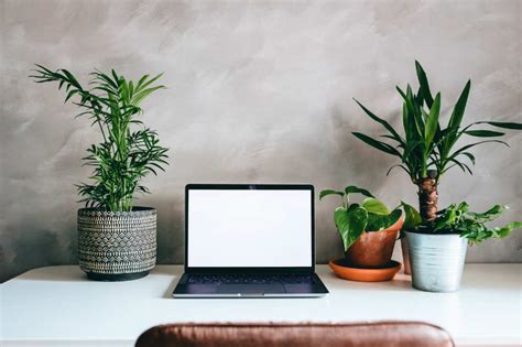 7 Awesome Good Luck Feng Shui Plants For The Office Desk