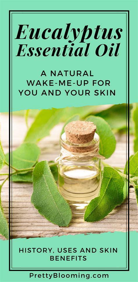 Eucalyptus Oil: A Natural Wake-me-up For You and Your Skin [History ...