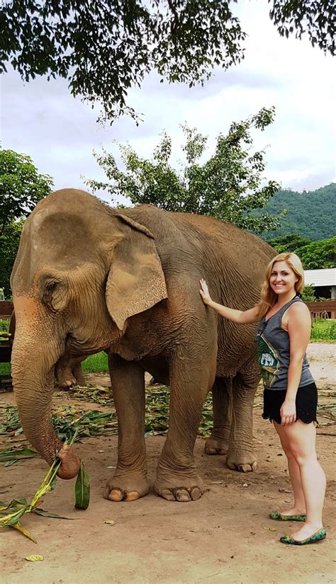 Elephant Nature Park Chiang Mai Thailand Toronto Seoulcialite (86 ...