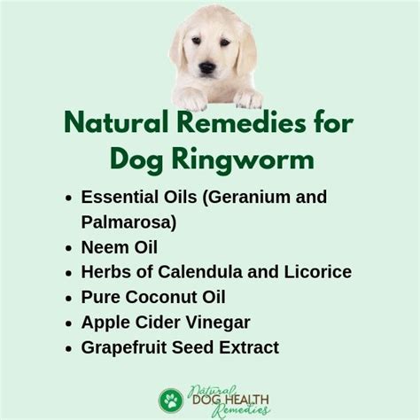 Natural Ringworm Treatment For Cats - Quotes Trending