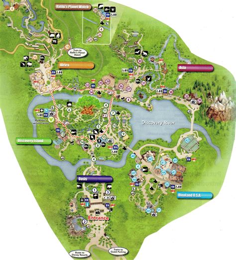 Detailed Map of Animal Kingdom Disney World