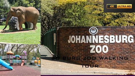 Joburg Zoo: Everything you need to know - Mynewsroom