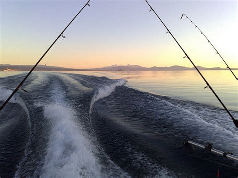 » Photo of the week: Trolling for trout, Lake Taupo Conservation blog