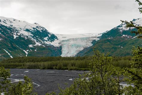 Exit Glacier, Kenai Fjords National Park, Alaska, Kenai Peninsula ...