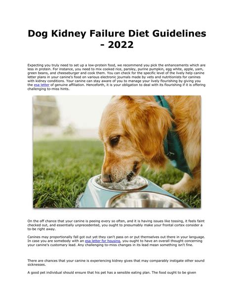 Dog Kidney Failure Diet Guidelines.pdf | DocDroid