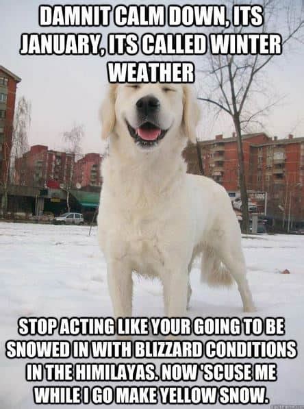 The 20 Funniest Snow Memes Ever