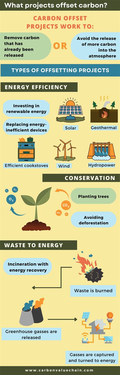 Carbon Offsetting Infographic: Everything You Need to Know about Carbon ...