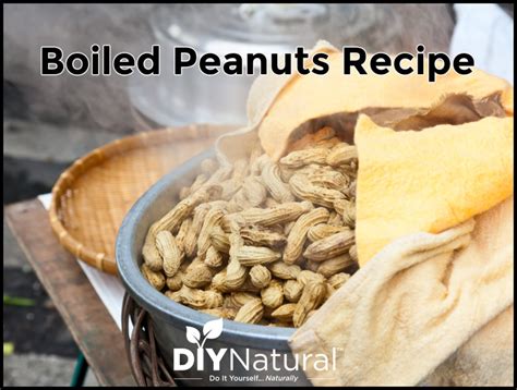 Boiled Peanuts Recipe: How to Make Great Sothern-Style Boiled Peanuts