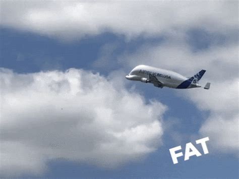 Airbus_Beluga Plane GIF by aeroTELEGRAPH - Find & Share on GIPHY