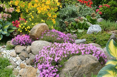 How to Build a Rock Garden | Platt Hill Nursery | Blog & Advice