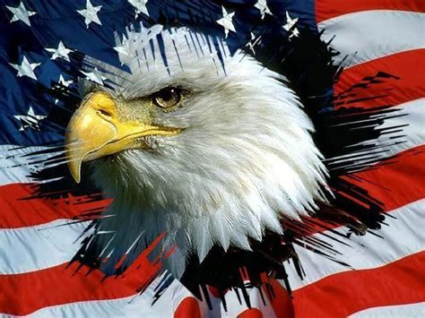 USA FLAG, US Sticker Decal United States Flag Bald Eagle. - Etsy UK