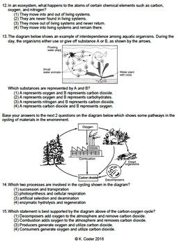 Worksheet - Carbon-Oxygen Cycle *EDITABLE* | TPT