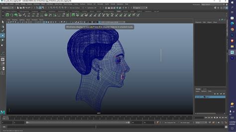 Human Face Rigg free 3D model rigged | CGTrader