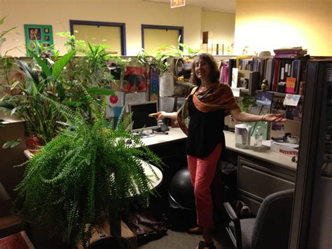 Office Cubicle Plants