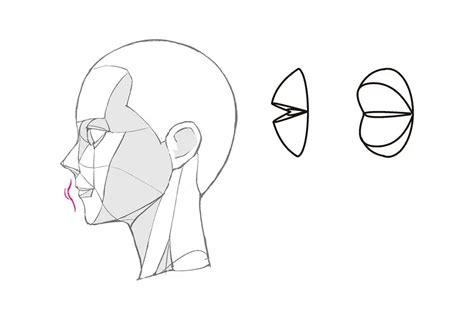 How to draw anime mouths from a side view - Anime Art Magazine